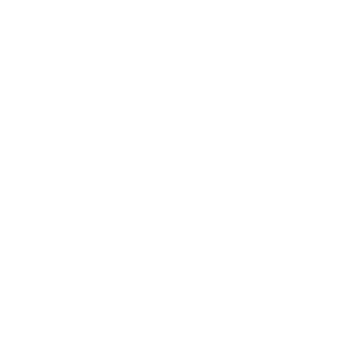 MOON Capilar Logo